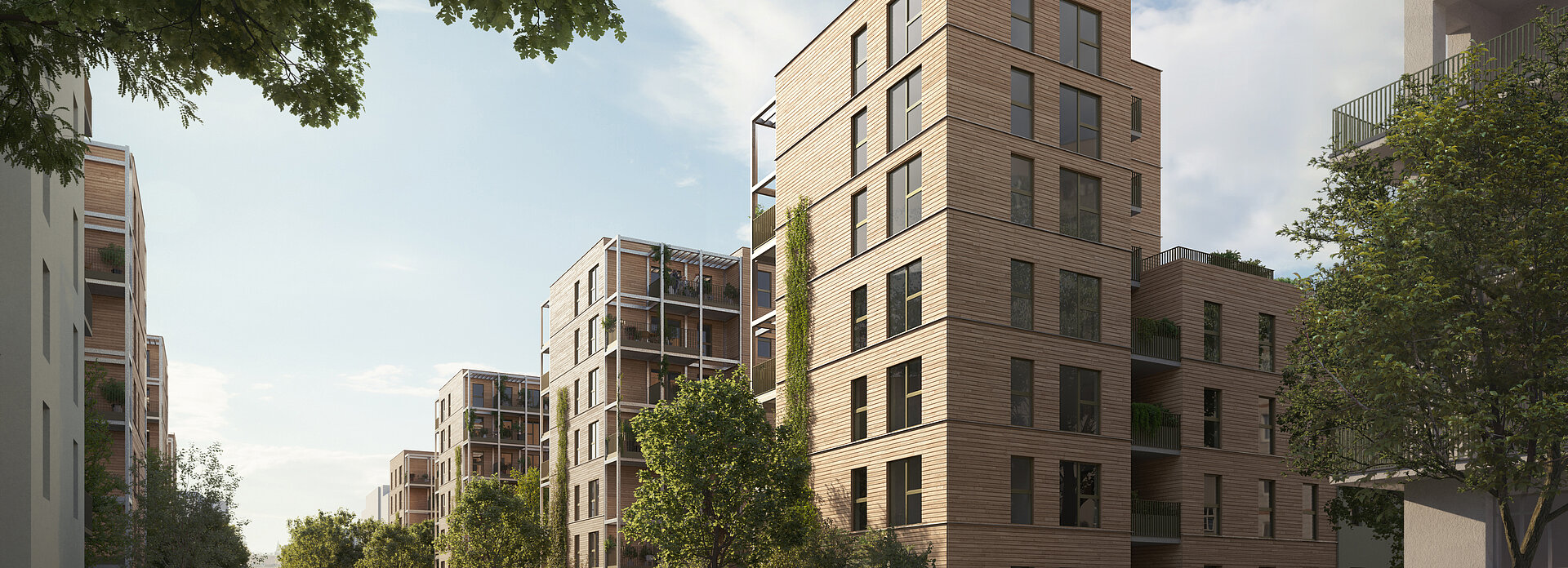 Baumstadt Floridsdorf 3 - Visualisierung Baumstadt Floridsdorf 3 - Visualisierung