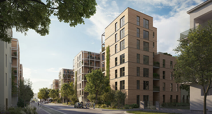 Baumstadt Floridsdorf 3 - Visualisierung Baumstadt Floridsdorf 3 - Visualisierung