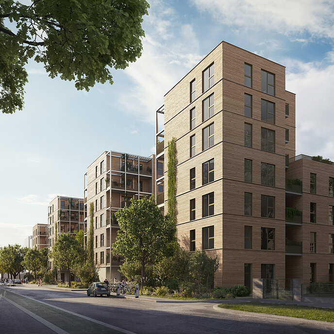 Baumstadt Floridsdorf 3 - Visualisierung Baumstadt Floridsdorf 3 - Visualisierung